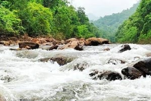 Maredumilli Resorts Online Booking